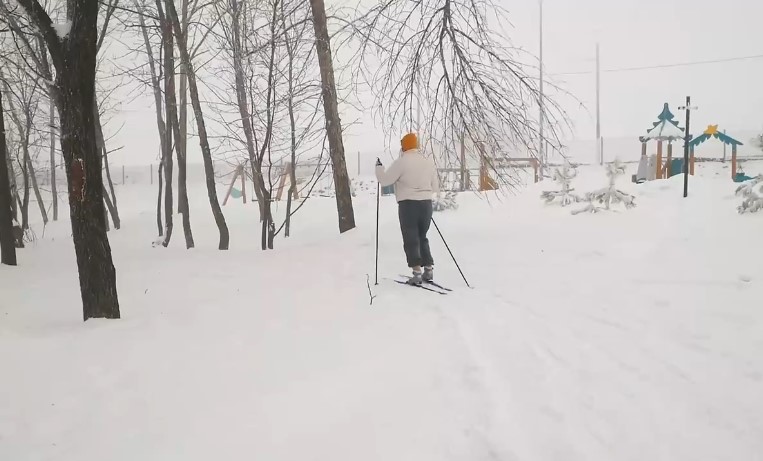 Новую экотропу в Ленинском районе саратовцы называют Кумыской в городе
